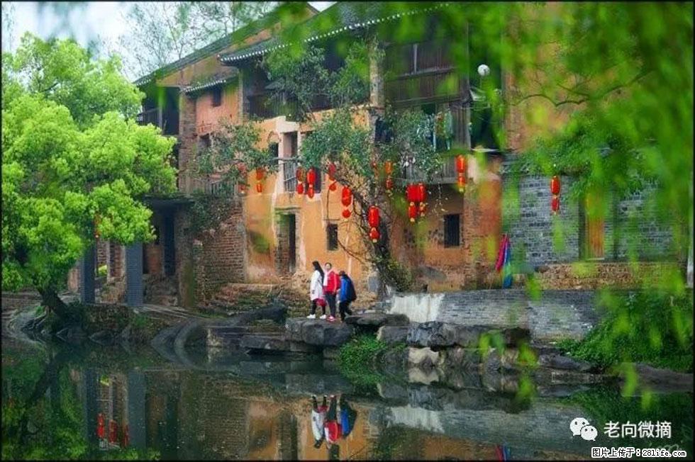 【春天，广西桂林灌阳县向您发出邀请！】江口老街又逢春 - 游山玩水 - 黄南生活社区 - 黄南28生活网 huangnan.28life.com