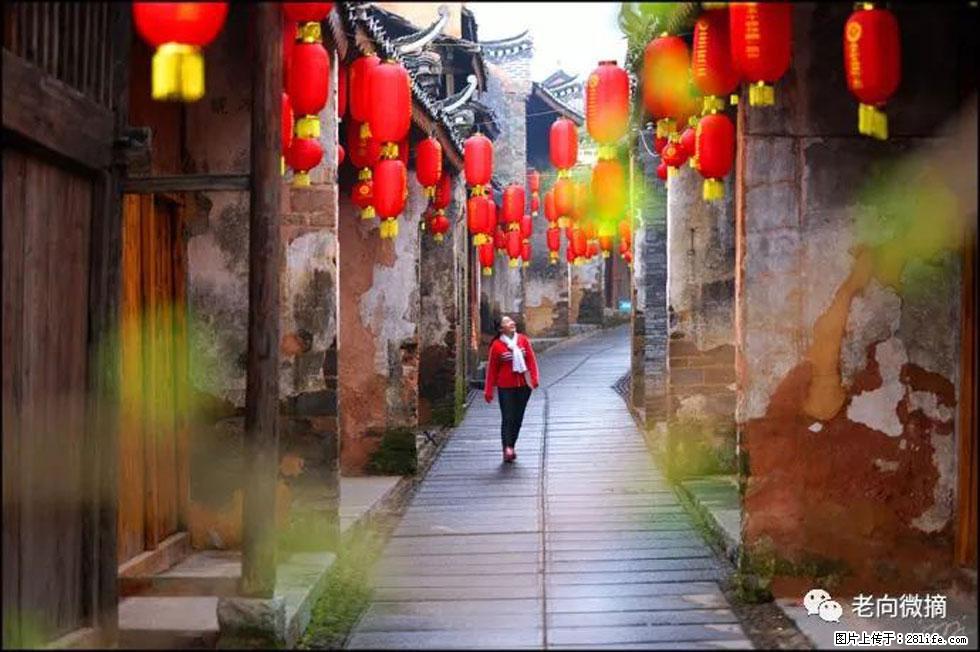 【春天，广西桂林灌阳县向您发出邀请！】江口老街又逢春 - 游山玩水 - 黄南生活社区 - 黄南28生活网 huangnan.28life.com