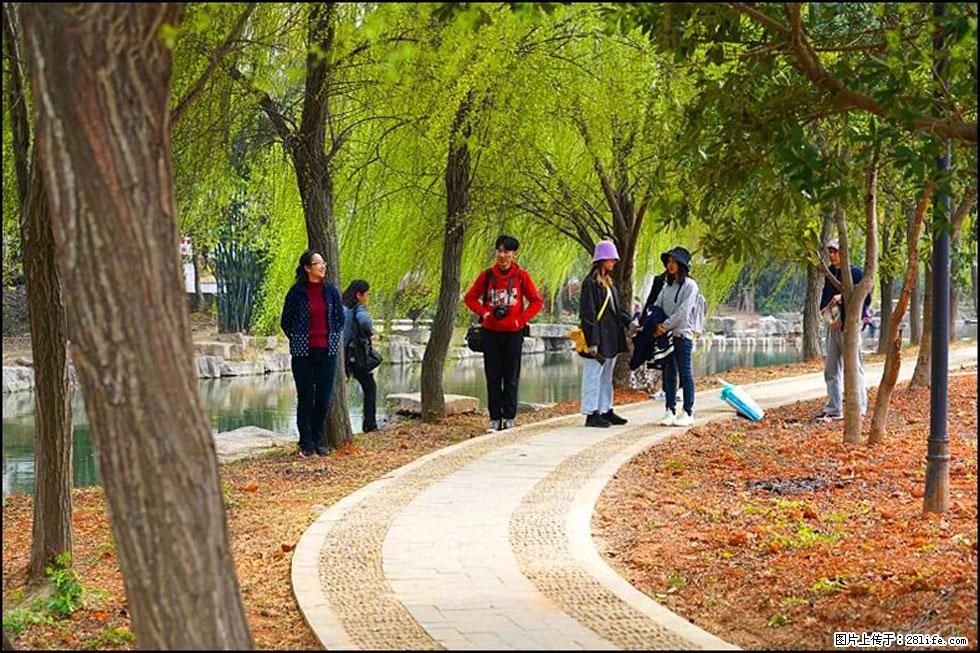 【春天，广西桂林灌阳县向您发出邀请！】江口老街又逢春 - 游山玩水 - 黄南生活社区 - 黄南28生活网 huangnan.28life.com