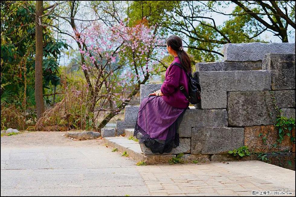 【春天，广西桂林灌阳县向您发出邀请！】江口老街又逢春 - 游山玩水 - 黄南生活社区 - 黄南28生活网 huangnan.28life.com