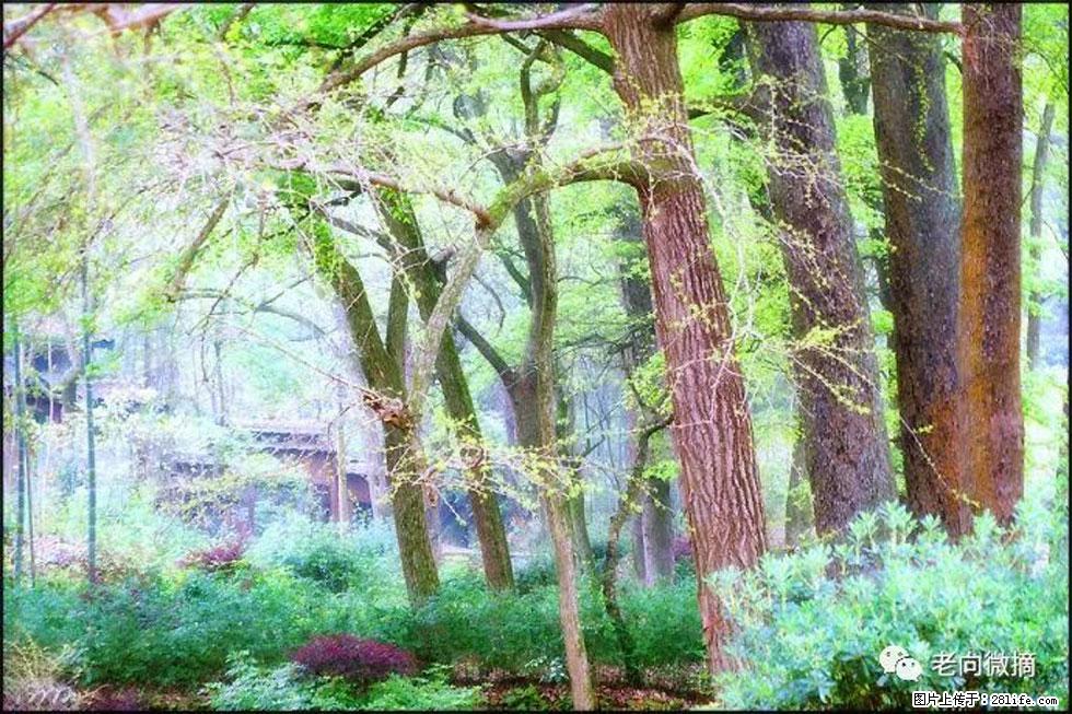 【春天,广西桂林灌阳县向您发出邀请!】在小龙村与春天约会 - 游山玩水 - 黄南生活社区 - 黄南28生活网 huangnan.28life.com