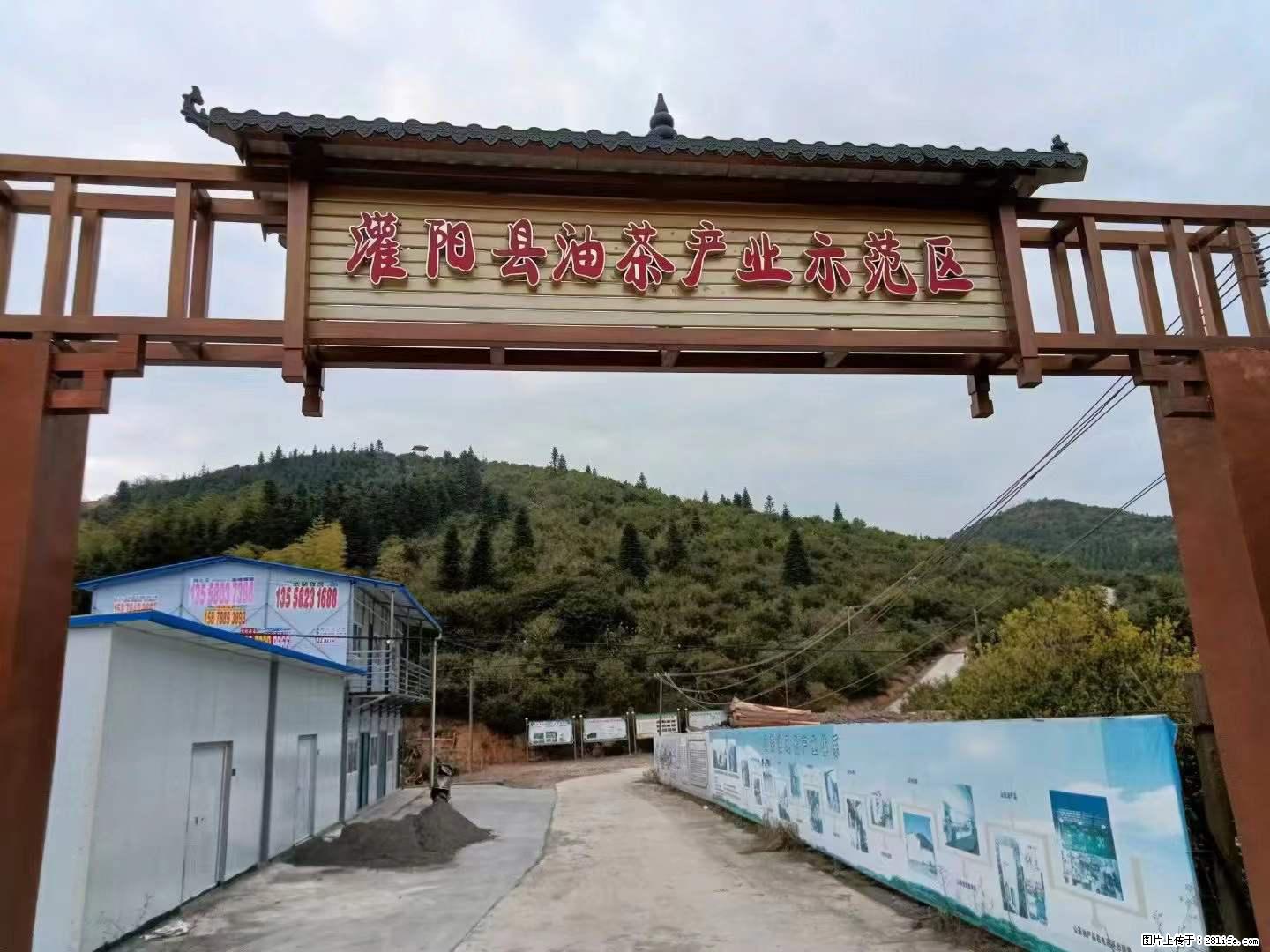 【灌阳县油茶产业示范区】一个有着充实的精神生活的人,对待身外之物自会有一种淡泊的态度 - 美食天地 - 黄南生活社区 - 黄南28生活网 huangnan.28life.com