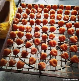 广西桂林平乐桥亭【柿饼之乡】2025年纯手工制作、无任何添加剂的第一批柿饼准备上市了，欢迎联系订购！ - 黄南28生活网 huangnan.28life.com