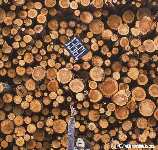 辞掉工作周游世界?现在他们在洗厕所…… - 游山玩水 - 黄南生活社区 - 黄南28生活网 huangnan.28life.com