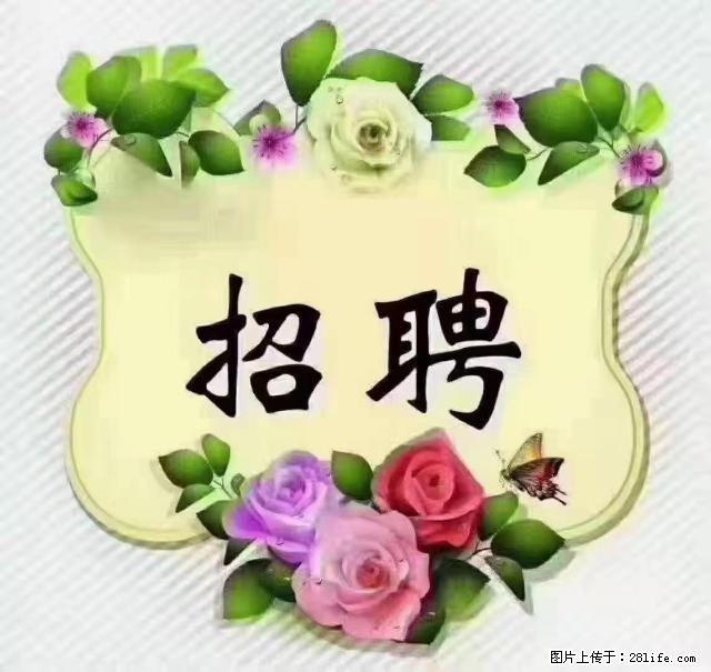 【招聘】住家育儿嫂,上户日期:4月4日,工作地址:上海 黄浦区 - 其他招聘信息 - 招聘求职 - 黄南分类信息 - 黄南28生活网 huangnan.28life.com
