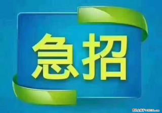 招出纳8000元/月，无证可以，要有相关经验，上海五险一金，包住，包工作餐，做六休一。 - 黄南28生活网 huangnan.28life.com