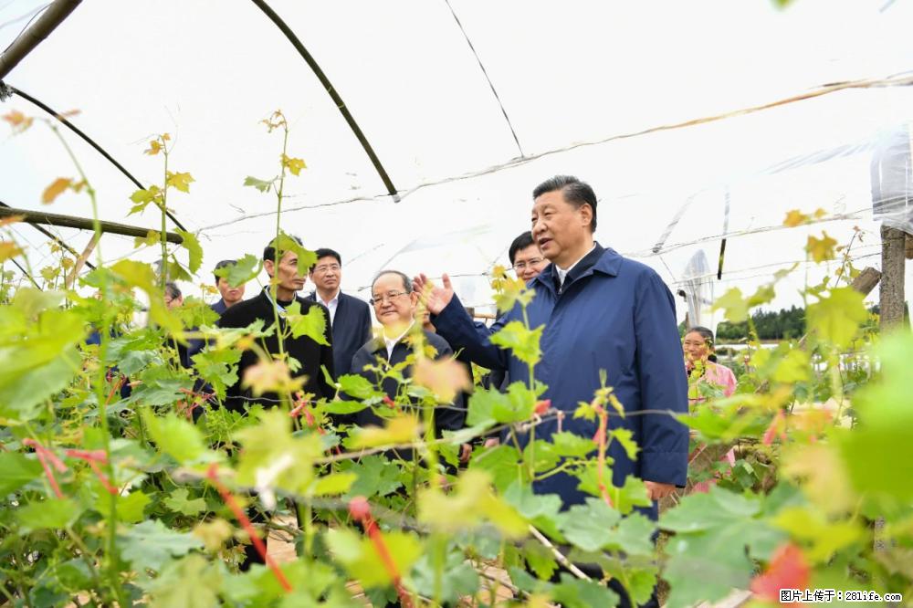 习近平赴广西考察调研 - 黄南生活资讯 - 黄南28生活网 huangnan.28life.com
