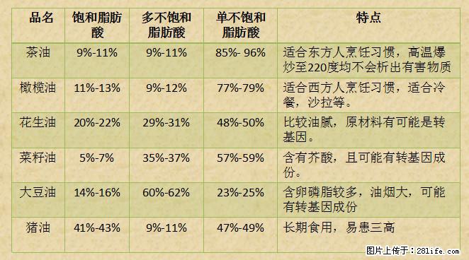 揭秘茶油的5大核心营养成分!被称为人体健康的“守护盾”! - 黄南生活资讯 - 黄南28生活网 huangnan.28life.com