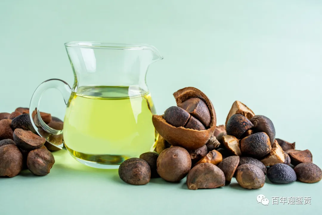 世界没有真相,只有认知,最好的食用油是中国的山茶油! - 黄南生活资讯 - 黄南28生活网 huangnan.28life.com