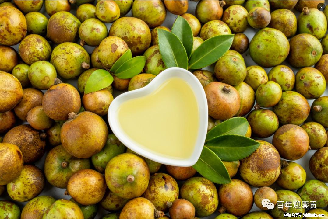 世界没有真相,只有认知,最好的食用油是中国的山茶油! - 黄南生活资讯 - 黄南28生活网 huangnan.28life.com