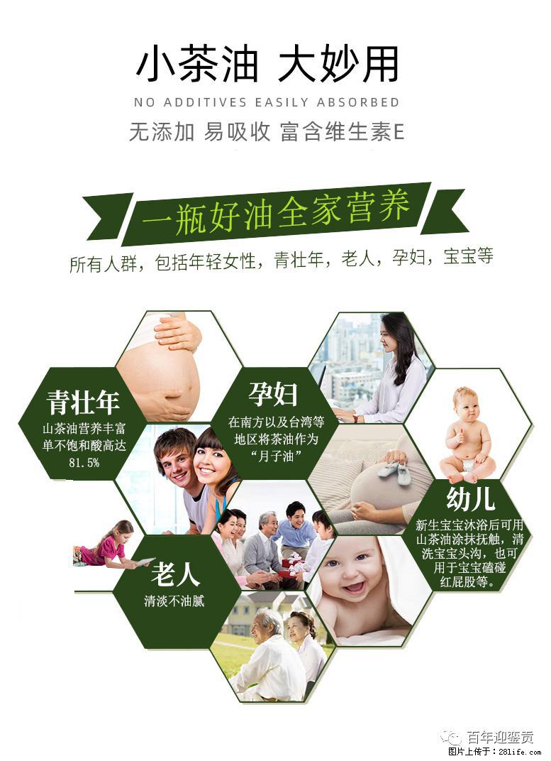 世界没有真相,只有认知,最好的食用油是中国的山茶油! - 黄南生活资讯 - 黄南28生活网 huangnan.28life.com