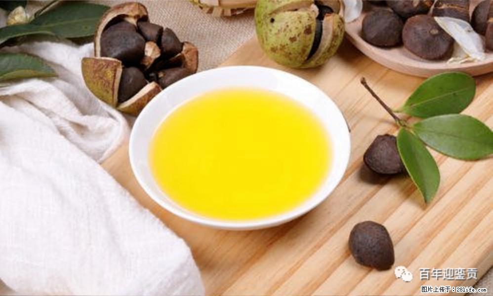 世界没有真相,只有认知,最好的食用油是中国的山茶油! - 黄南生活资讯 - 黄南28生活网 huangnan.28life.com