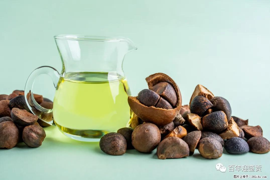 世界没有真相，只有认知，最好的食用油是中国的山茶油！ - 黄南生活资讯 - 黄南28生活网 huangnan.28life.com