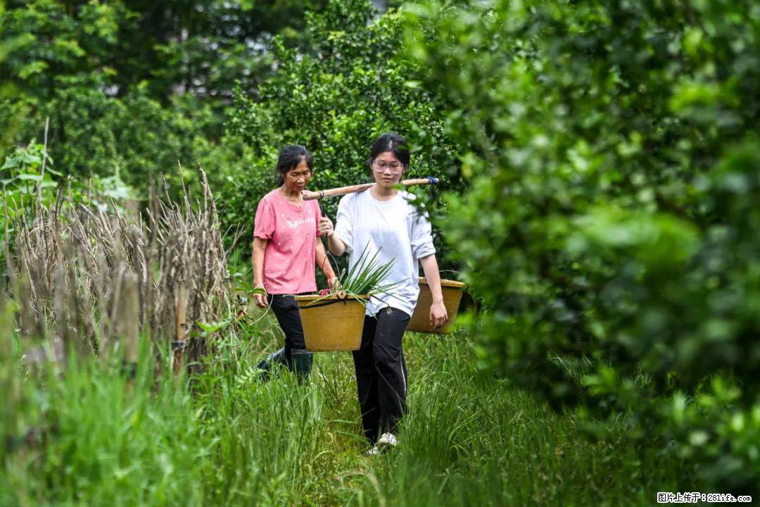 全网追的“扁担女孩”,找了一份暑假工,时薪12元 - 黄南生活资讯 - 黄南28生活网 huangnan.28life.com