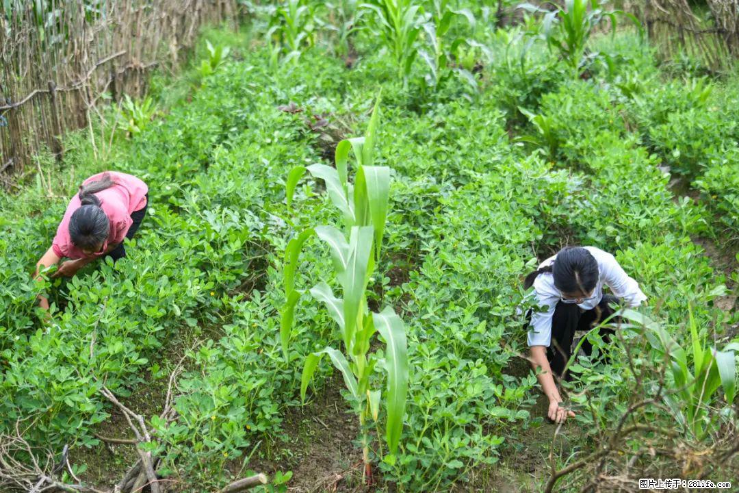 全网追的“扁担女孩”,找了一份暑假工,时薪12元 - 黄南生活资讯 - 黄南28生活网 huangnan.28life.com