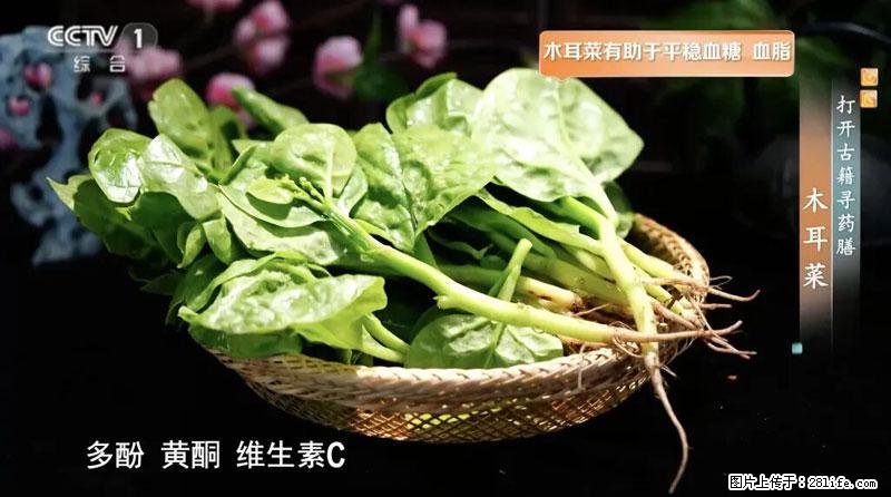比牛奶补钙还厉害!凉血解毒、稳血糖...这菜冬天必吃,很多人却当草 - 黄南生活资讯 - 黄南28生活网 huangnan.28life.com