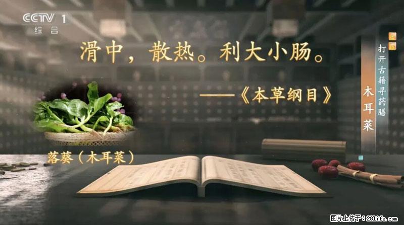 比牛奶补钙还厉害!凉血解毒、稳血糖...这菜冬天必吃,很多人却当草 - 黄南生活资讯 - 黄南28生活网 huangnan.28life.com