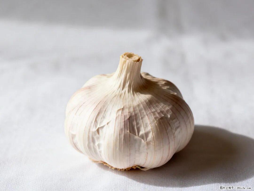 关于大蒜，除了“天然抗生素”，这4个谣言更该警惕! - 黄南生活资讯 - 黄南28生活网 huangnan.28life.com