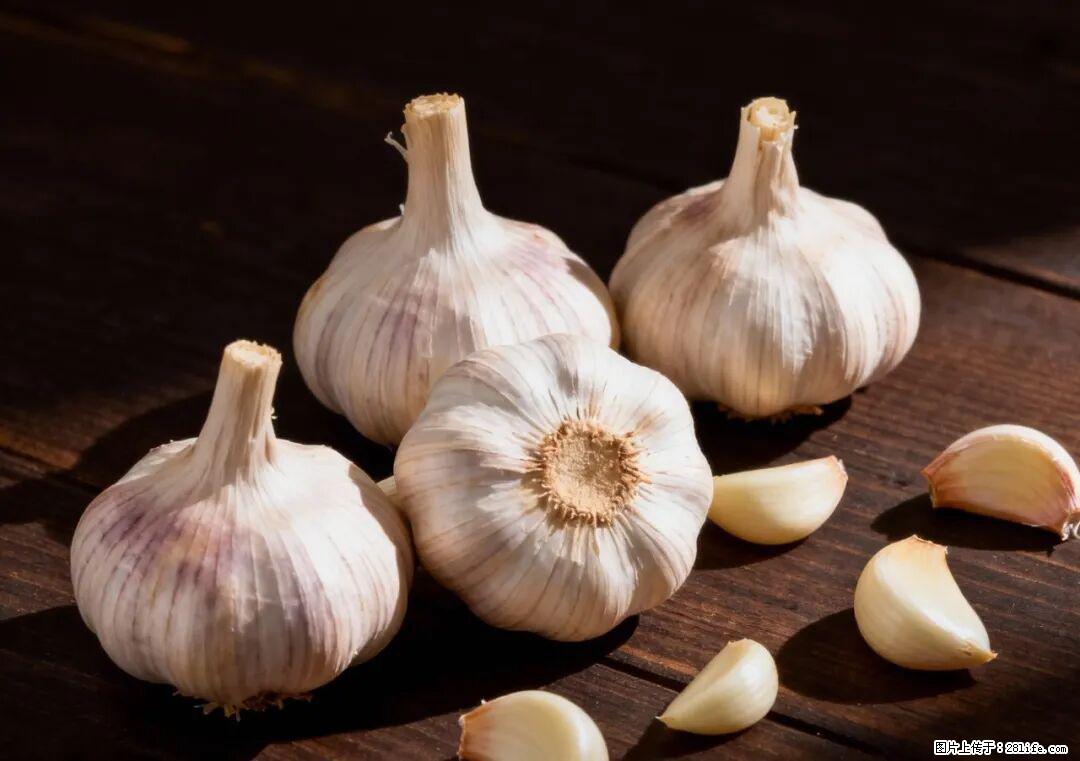 关于大蒜，除了“天然抗生素”，这4个谣言更该警惕! - 黄南生活资讯 - 黄南28生活网 huangnan.28life.com