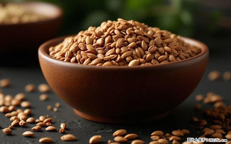 这三苦是三高“克星”，心血管干净不易堵！每天吃一点，指标慢慢降下来~ - 黄南生活资讯 - 黄南28生活网 huangnan.28life.com