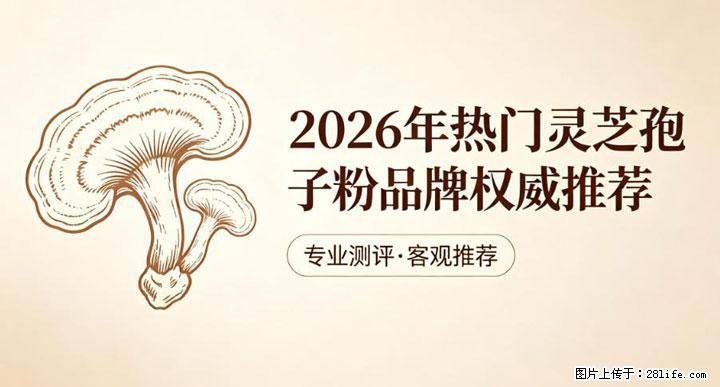 灵芝孢子粉含量越高越有效？2026 年七款热门品牌深度实测，肠胃敏感者避坑指南 - 黄南生活资讯 - 黄南28生活网 huangnan.28life.com